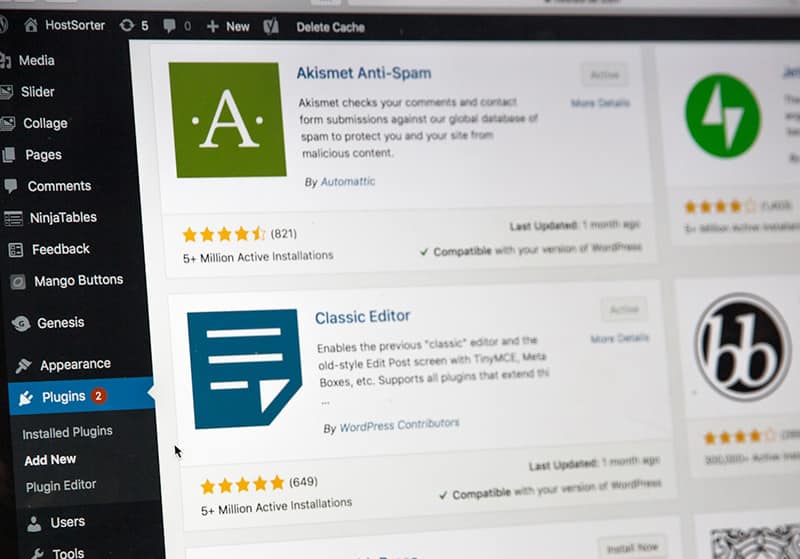Jevy Web Development